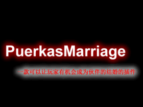 PuerkasMarriage-结婚插件