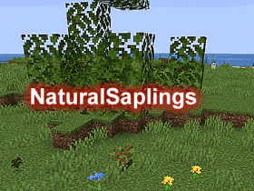 NaturalSaplings - 自然树苗插件