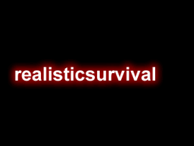 realisticsurvival - 更真实的生存插件