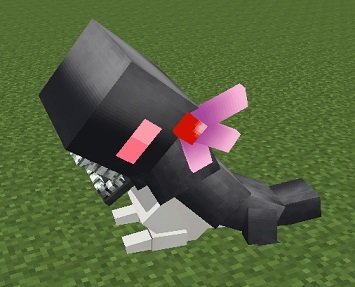 03.jpg