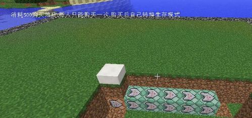 我的世界教你如何做传送 地皮 商店等 简单易学
