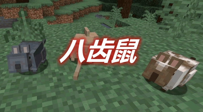 八齿鼠 Vanilla Degus Mod 