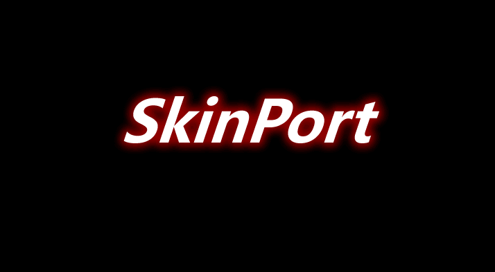 SkinPort Mod 