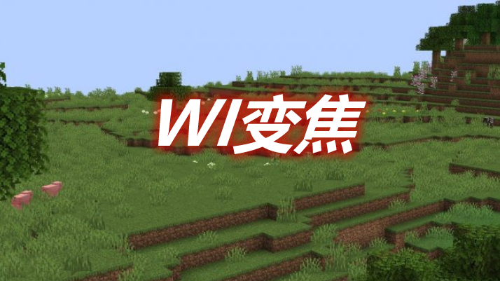 WI变焦 WI Zoom Mod 