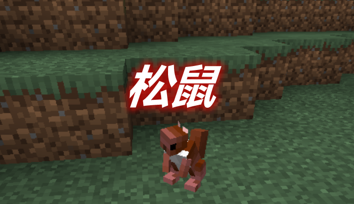 松鼠 Squirrels Mod