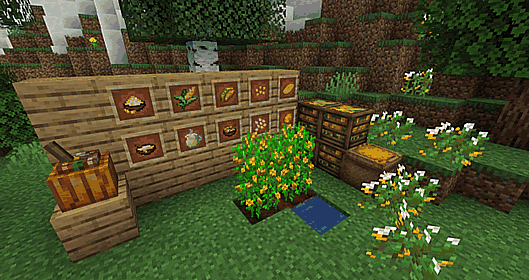 Corn Delight