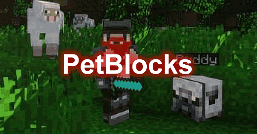 PetBlocks