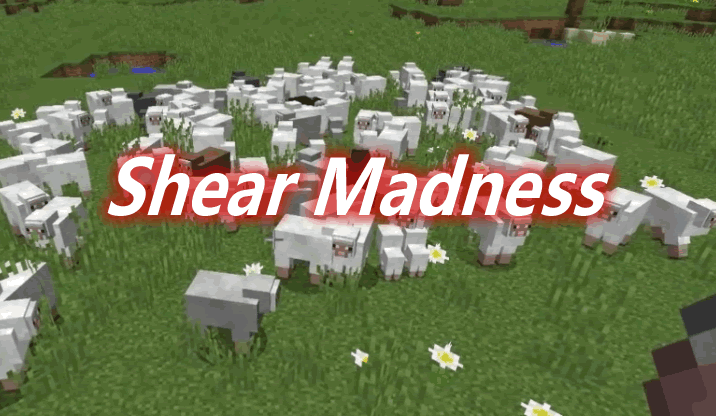 Shear Madness Mod 