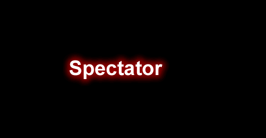 Spectator – 观众插件