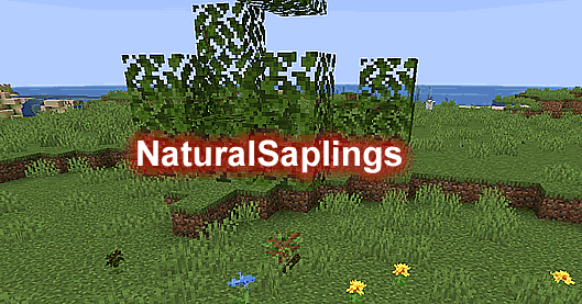NaturalSaplings