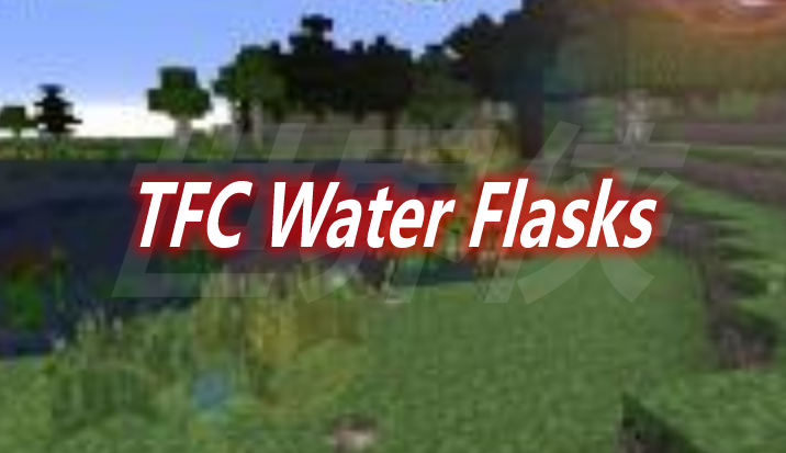 TFC Water Flasks Mod 