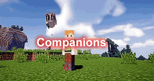 Companions