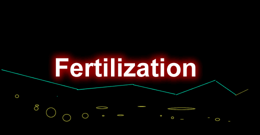 Fertilization